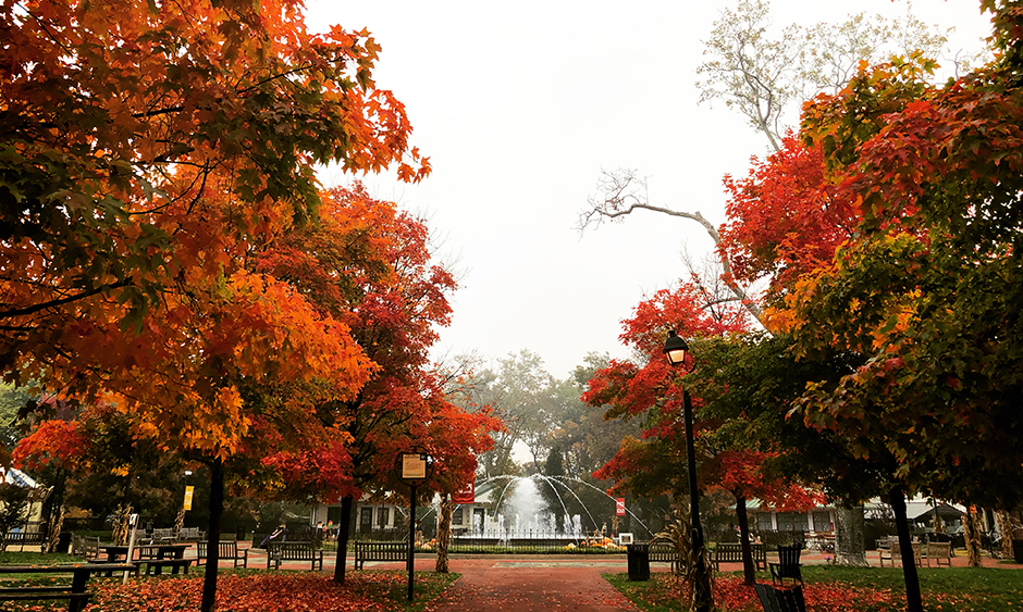 Franklin Square Fountain surrounded by trees with fiery red leaves in the fall