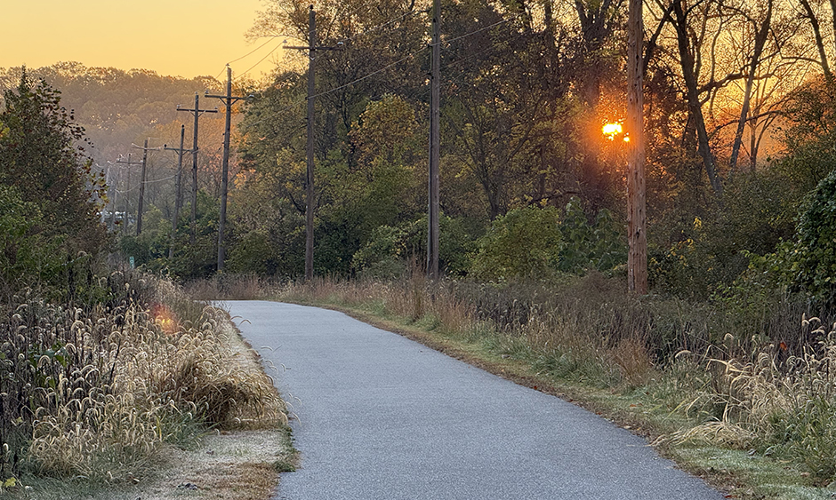 A paved trail in a wooded area. The sun is glowing orange through the trees.