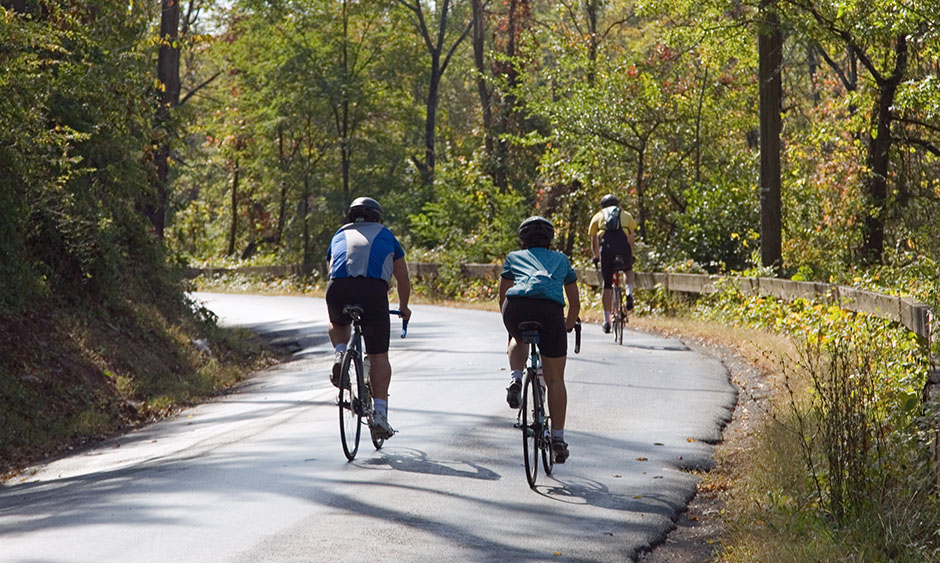 Three cyclists ride their bike on a paved trail through the woods