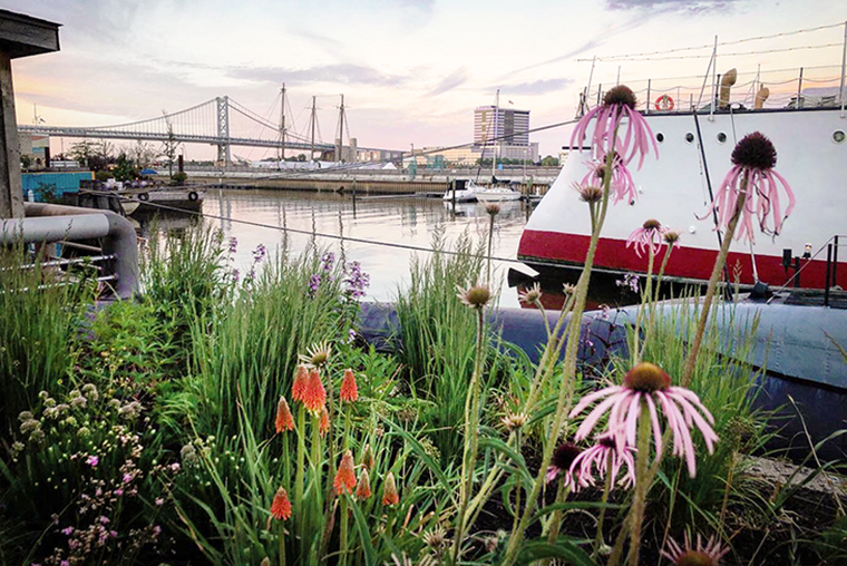 A photograph featuring flowers in the foreground with ships on the Delaware River in the background